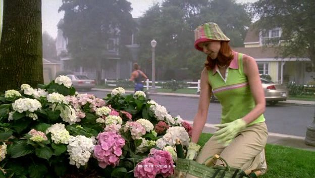 Eso de hablarle a las plantas, tiene su ciencia y en muchos casos colabora en una buena respuesta de su parte…