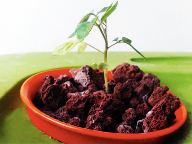 canastilla hidroponica