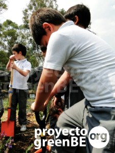 Niño trabajando en el huerto