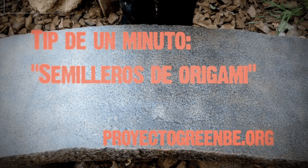 Podcast: tip de 1 minuto semilleros de origami