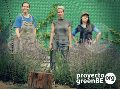 Recuerdo del huerto escolar  greengates