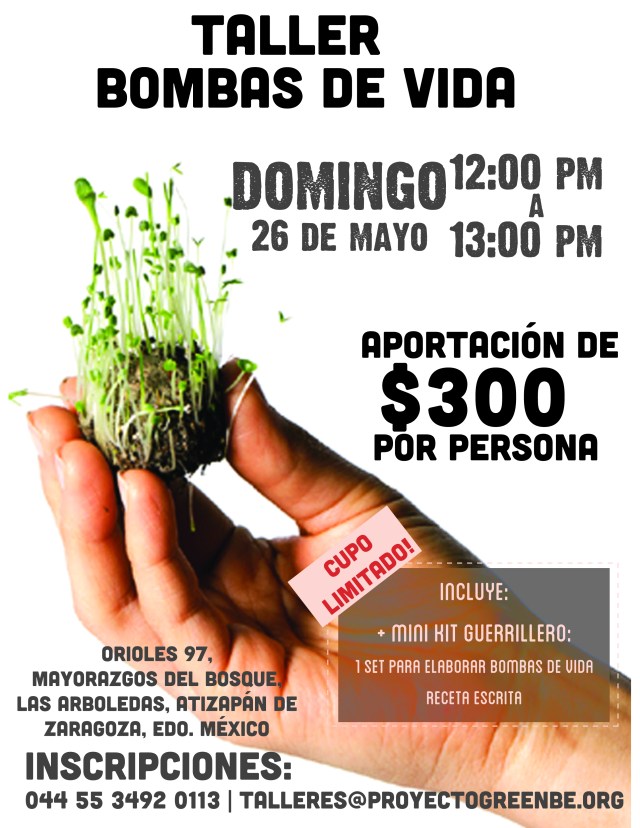 Taller de nendo dango-bombas de vida