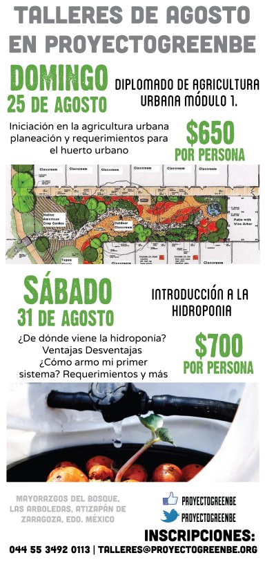 Talleres de huerto urbano, hidroponía en agosto 2013 proyectogreenbe.org