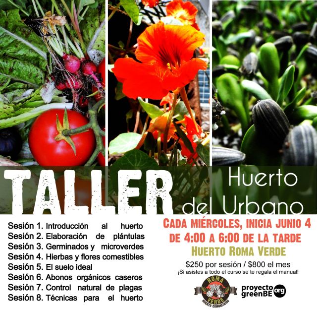 Taller de huertos urbanos en la Ciudad de México, junio 2014