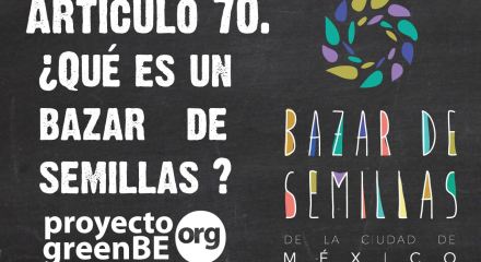 Bazar de Semillas de la Ciudad de México